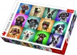 Puzzle Legrační psí portréty 1000 dílků 68,3x48cm v krabici 40x27x6cm Trefl