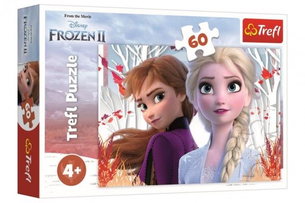 Puzzle Ledové království II/Frozen II 60 dílků 33x22cm v krabici 21x14x4cm Trefl