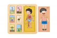 Puzzle deskové dřevěné lidské tělo/sport ve fólii 30x30cm 12m+ Teddies