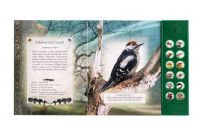 Zvuková knížka Ptáci našich lesů na baterie 22,5x21cm Albatros