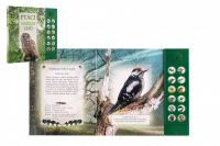 Zvuková knížka Ptáci našich lesů na baterie 22,5x21cm Albatros