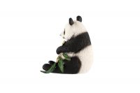 Panda velká zooted plast 8cm v sáčku