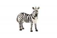 Zebra horská zooted plast 11cm v sáčku