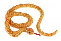 Had plyšový 200cm oranžovo-žlutý Teddies