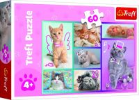 Puzzle Roztomilé kočky 33x22cm 60 dílků v krabici 21x14x4cm Trefl